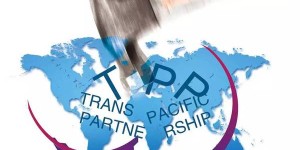 The TPP plan “died” and the textile companies that moved to Vietnam “will cry”