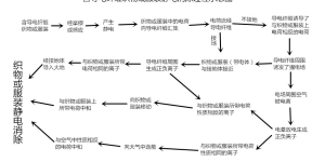 Principles of electricity dissipation in work clothes weaved with conductive yarn interwoven anti-static fabrics