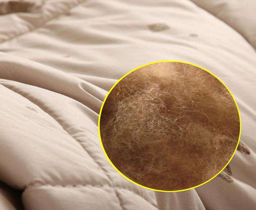 What are the advantages and disadvantages of camel hair quilts? Can camel hair quilts be washed?